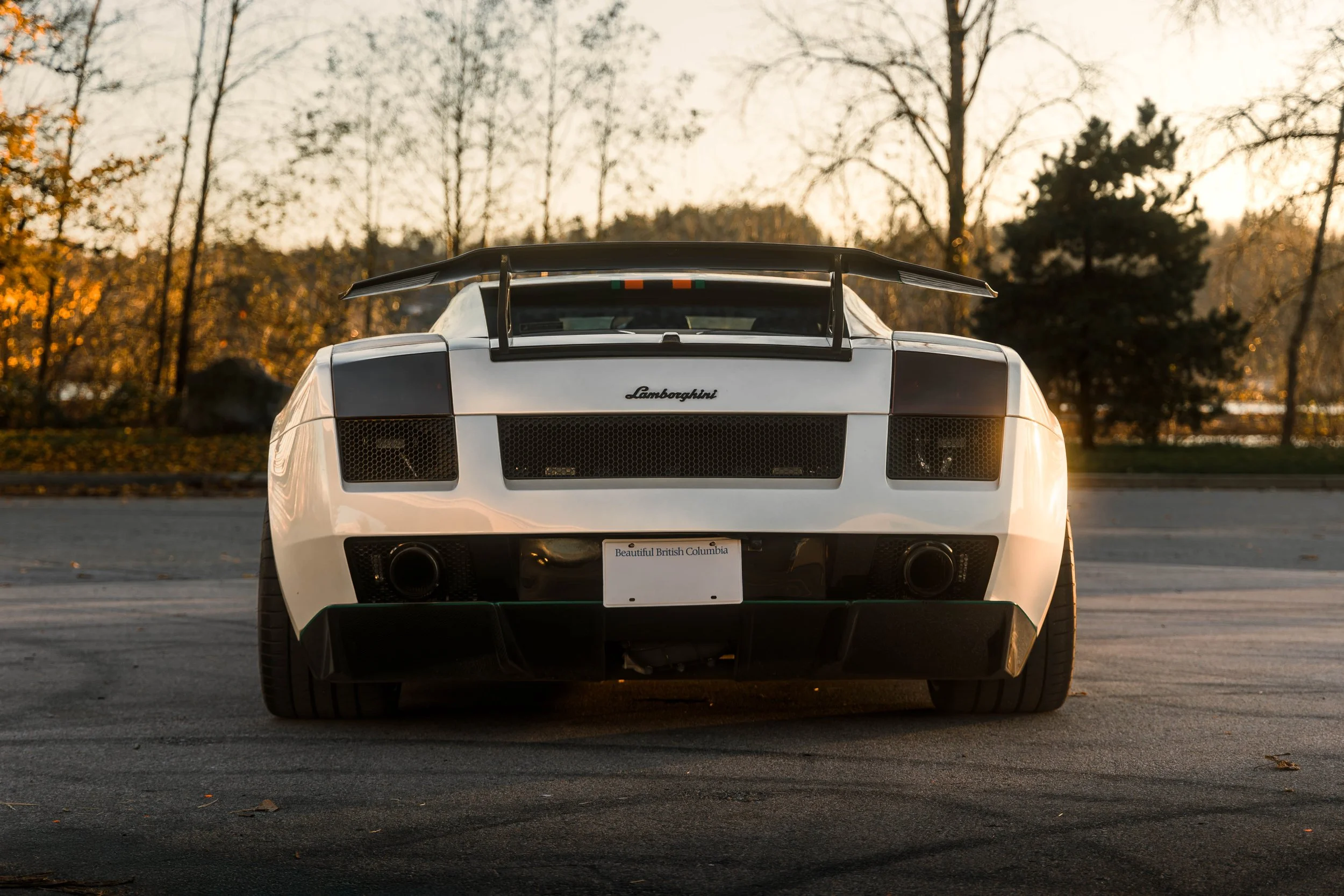 1H9A6691-Enhanced-NR-Edit.jpg