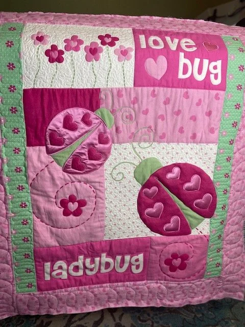 Lady Bug Quilt.jpg