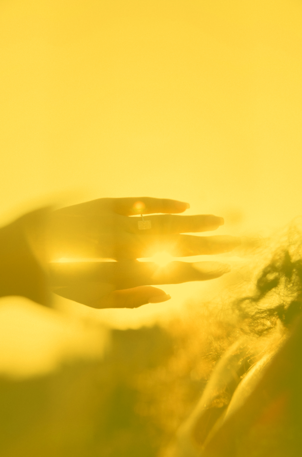 A person's hand is seen against a yellow background with sunlight shining through. The hand is partially transparent due to the sunlight, creating a glowing effect.