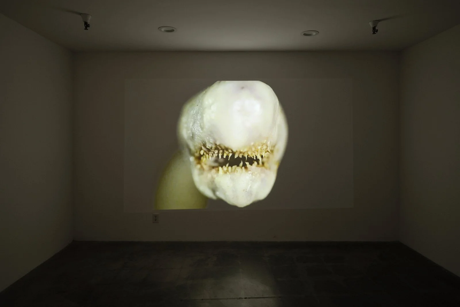  Nathaniel Mellors Brainworm 2025 Photo: Fredrik Nilsen 