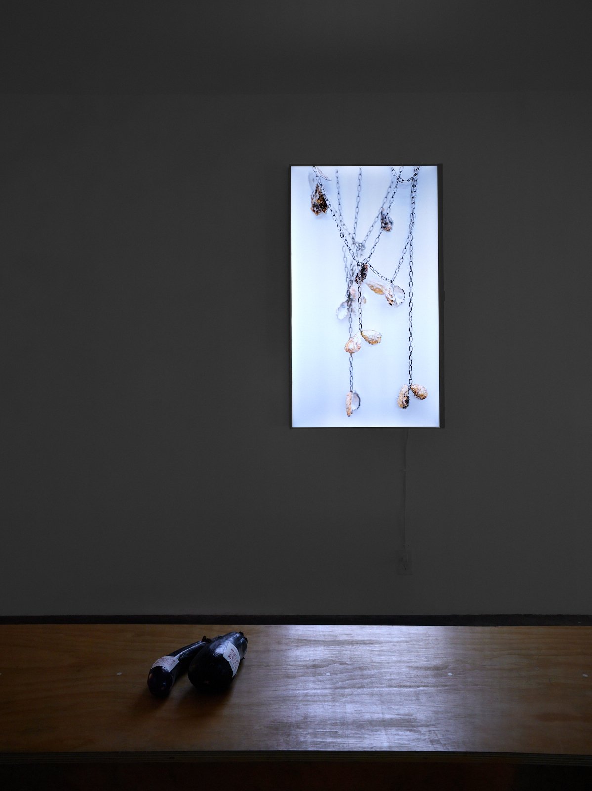  Installation view of  Phallus :: Fascinum :: Fascism , 2025. Courtesy of the artists and The Box LA. Photo: Fredrik Nilsen 