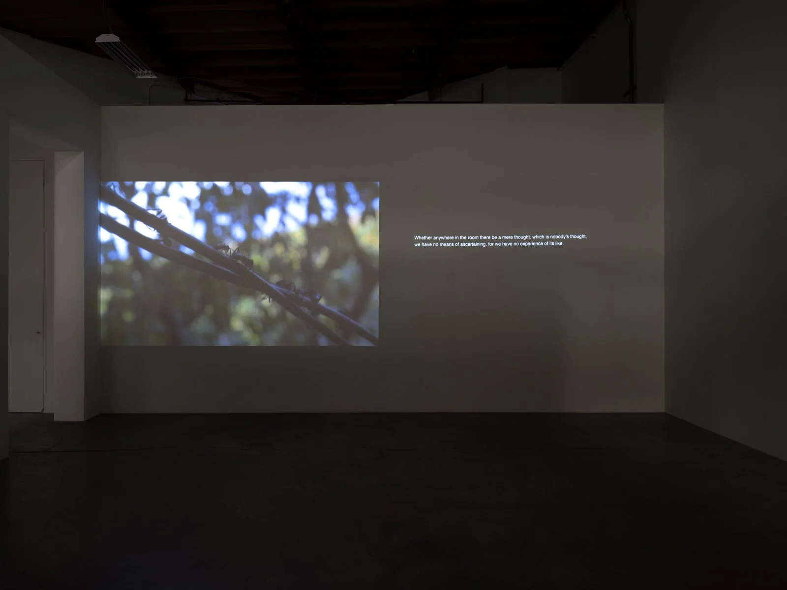  Julien Bismuth  Knowledge About A Thing Is Knowledge Of Its Relations , 2024 Photo: Fredrik Nilsen 