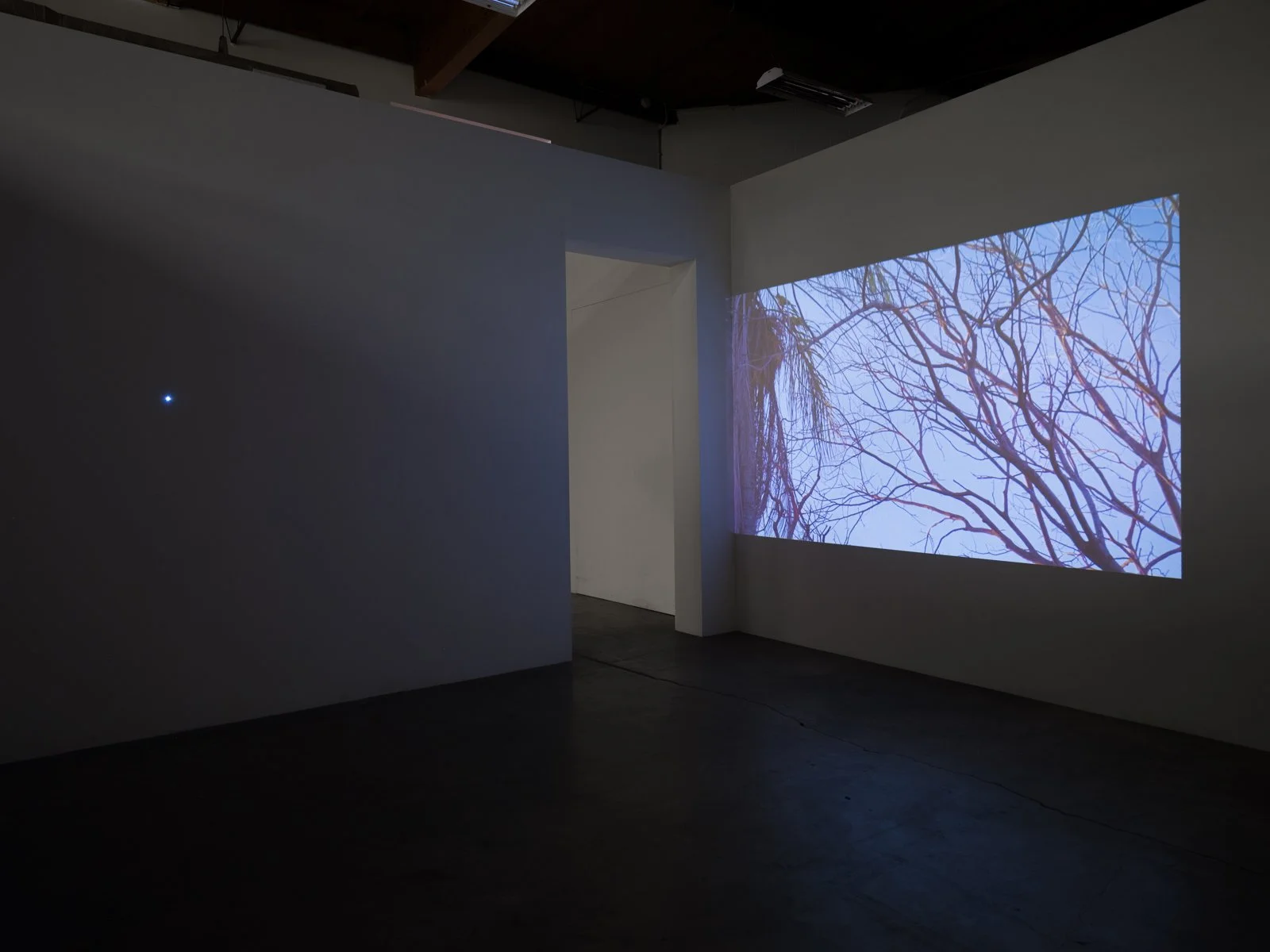  Julien Bismuth, perchings, 2024 Installation view Photo: Fredrik Nilsen 