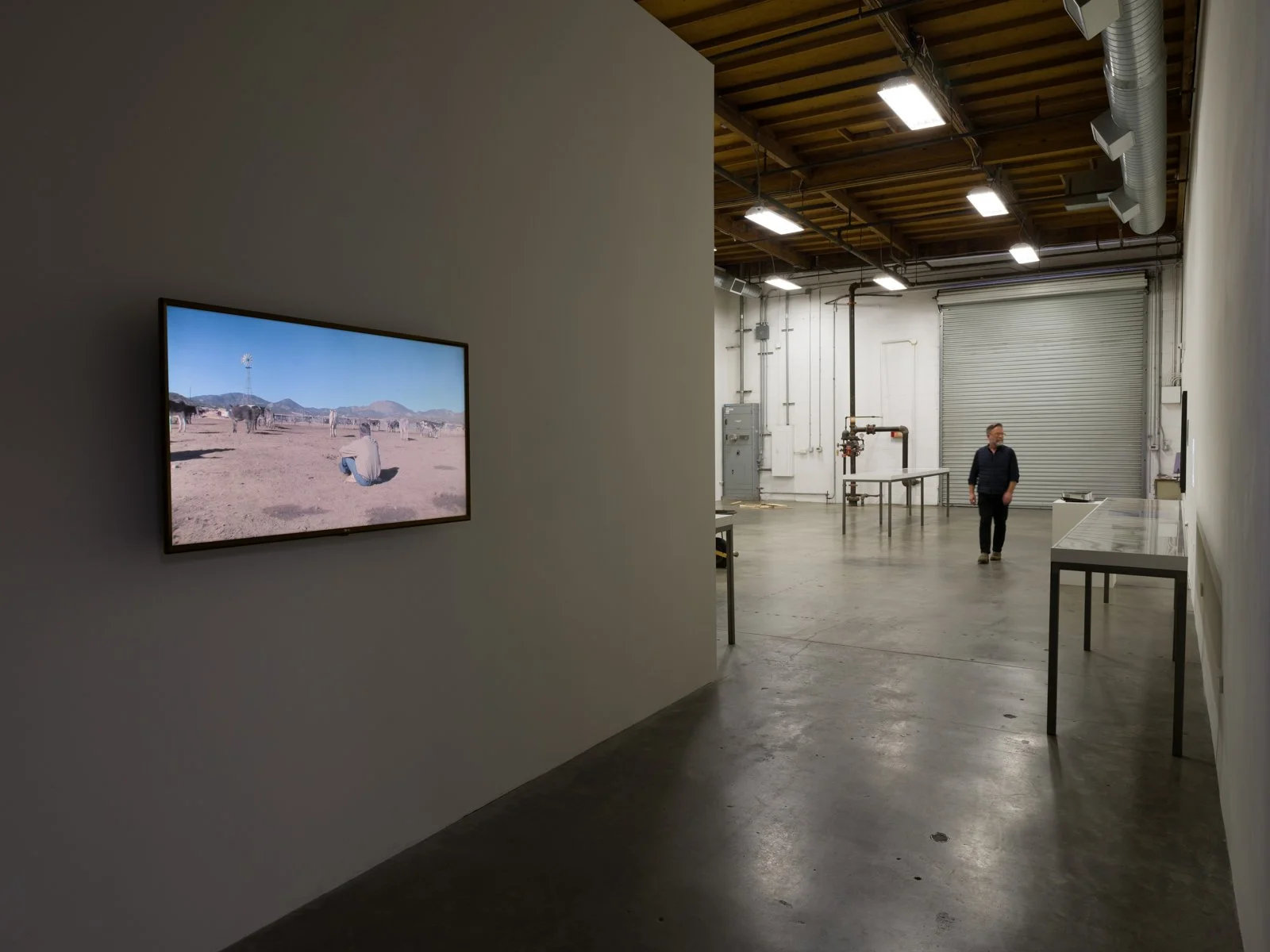  Julien Bismuth, perchings, 2024 Installation view Photo: Fredrik Nilsen 