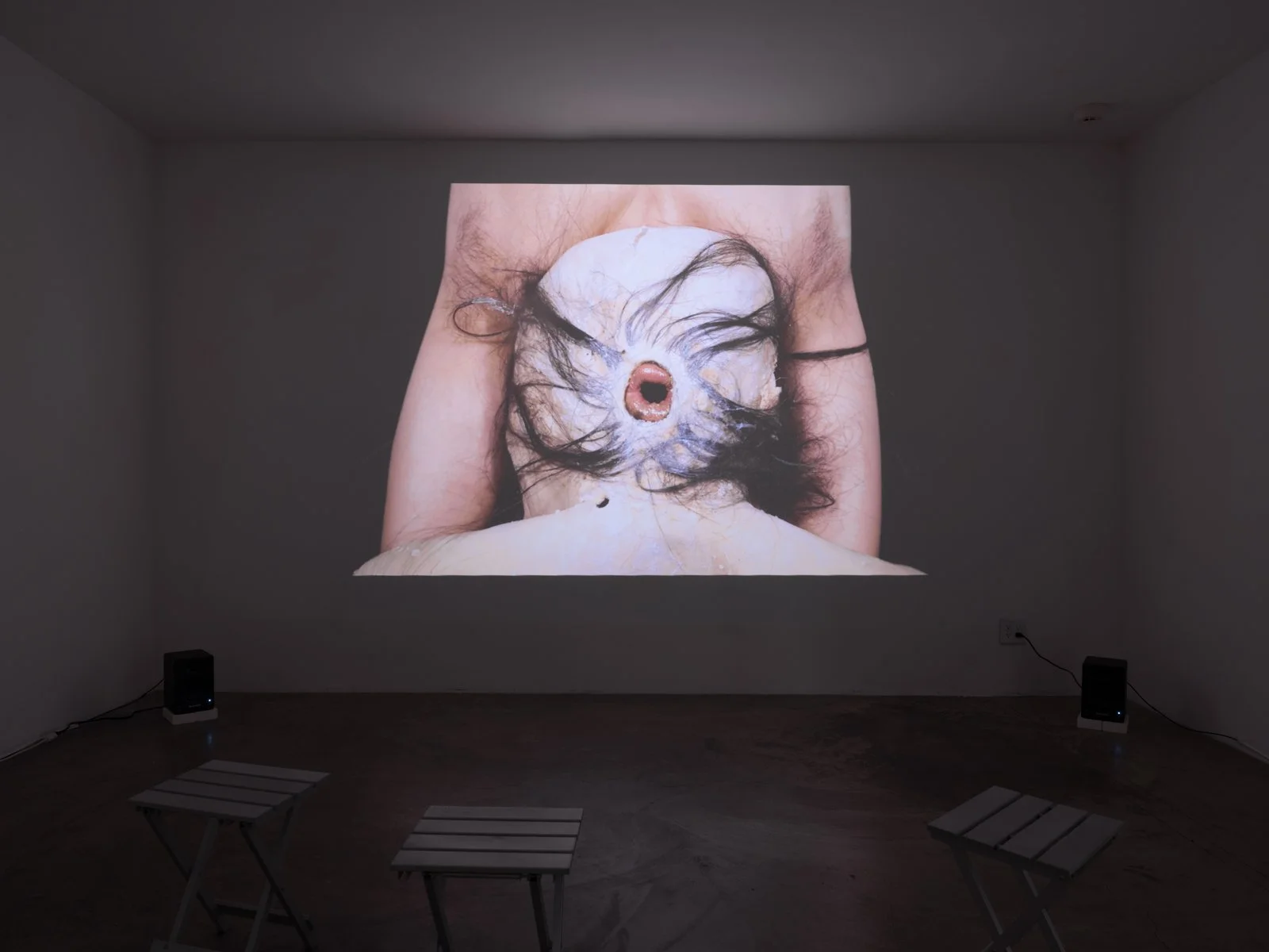  Naotaka Hiro  The Pit (Dancer with Golden Lips) , 2013.   Photo: Fredrik Nilsen 