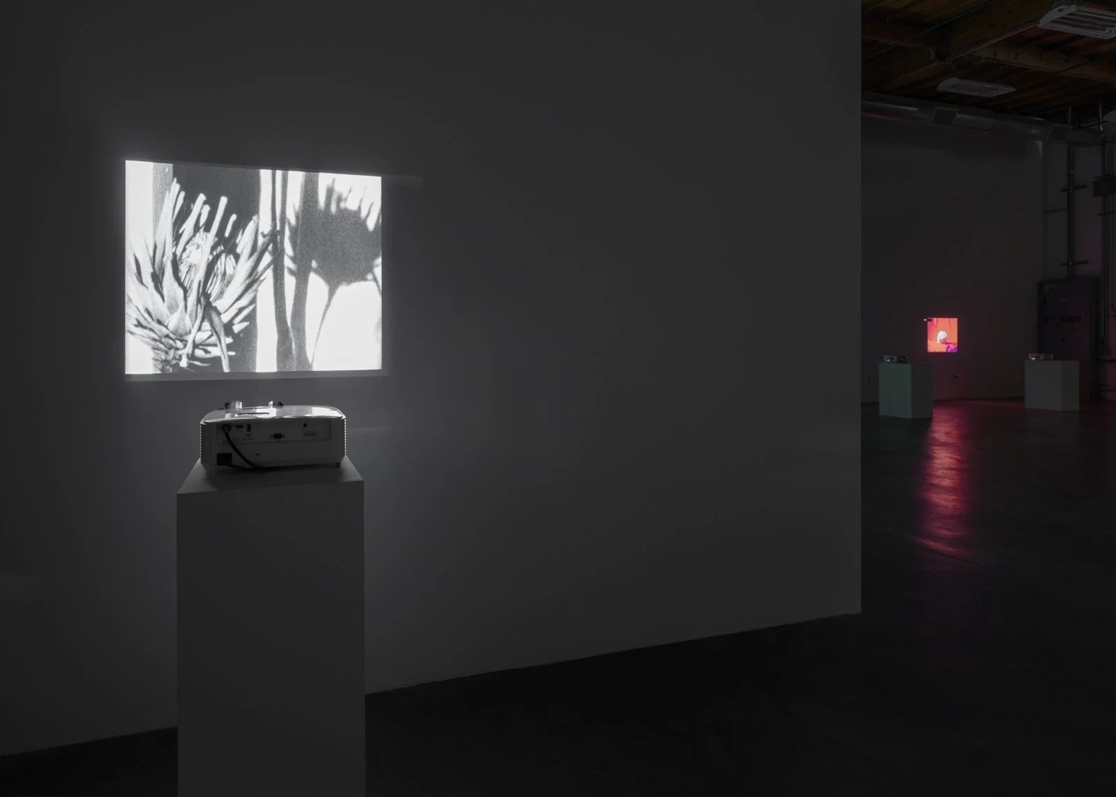   Interior Castle  Installation View The Box, 2023  Photo: Fredrik Nilsen 