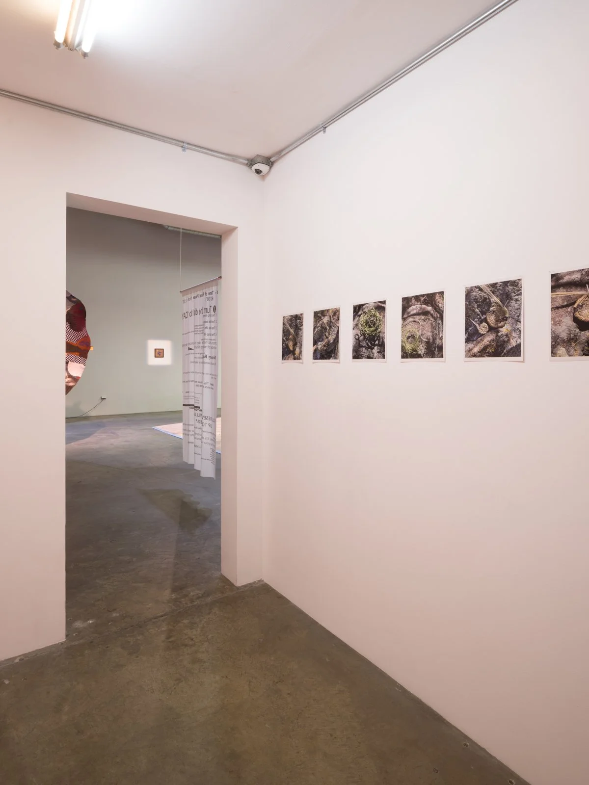   Knees, Schools, Urges  Installation View The Box, 2022  Photo: Fredrik Nilsen 