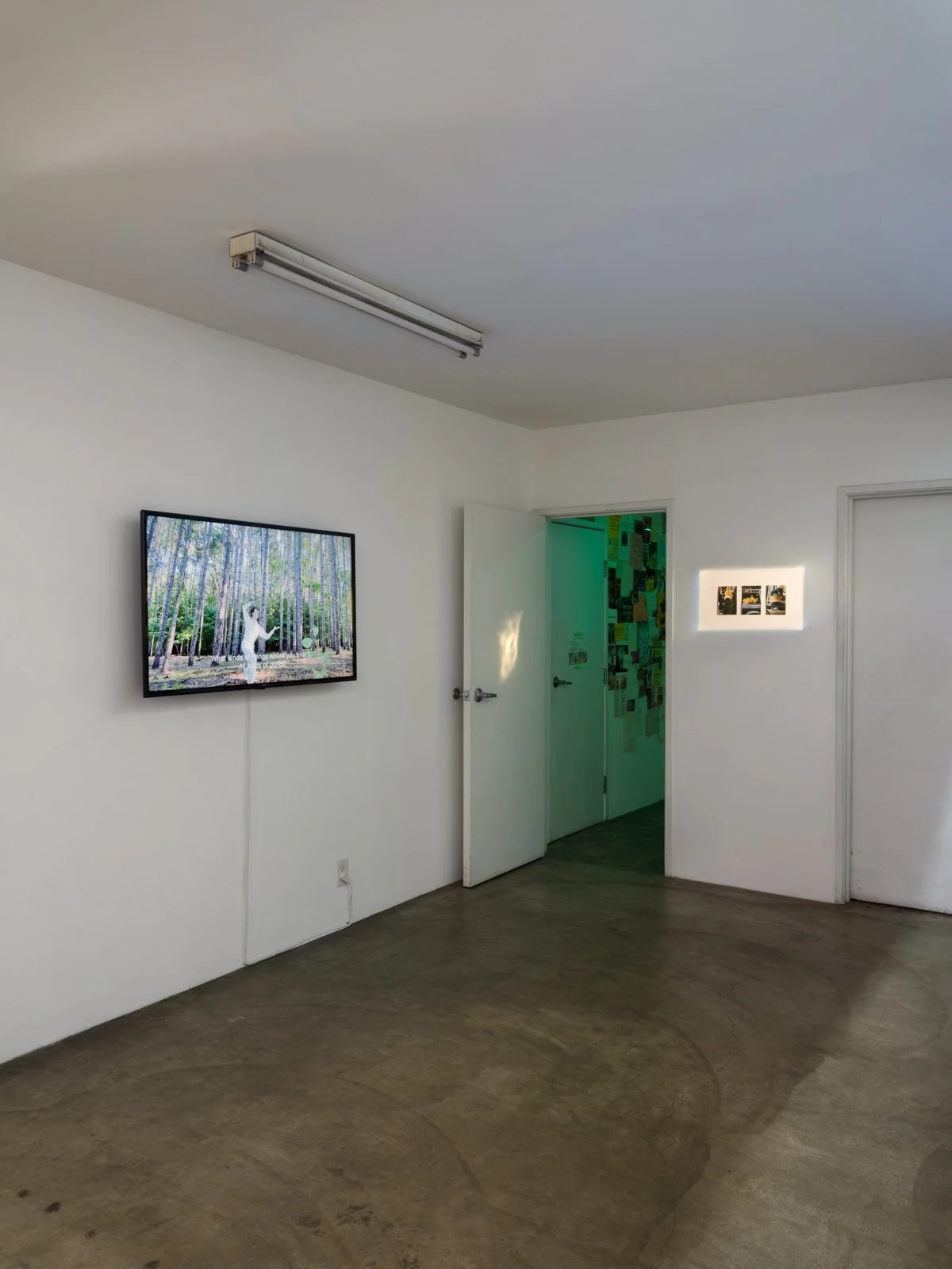   Knees, Schools, Urges  Installation View The Box, 2022  Photo: Fredrik Nilsen 