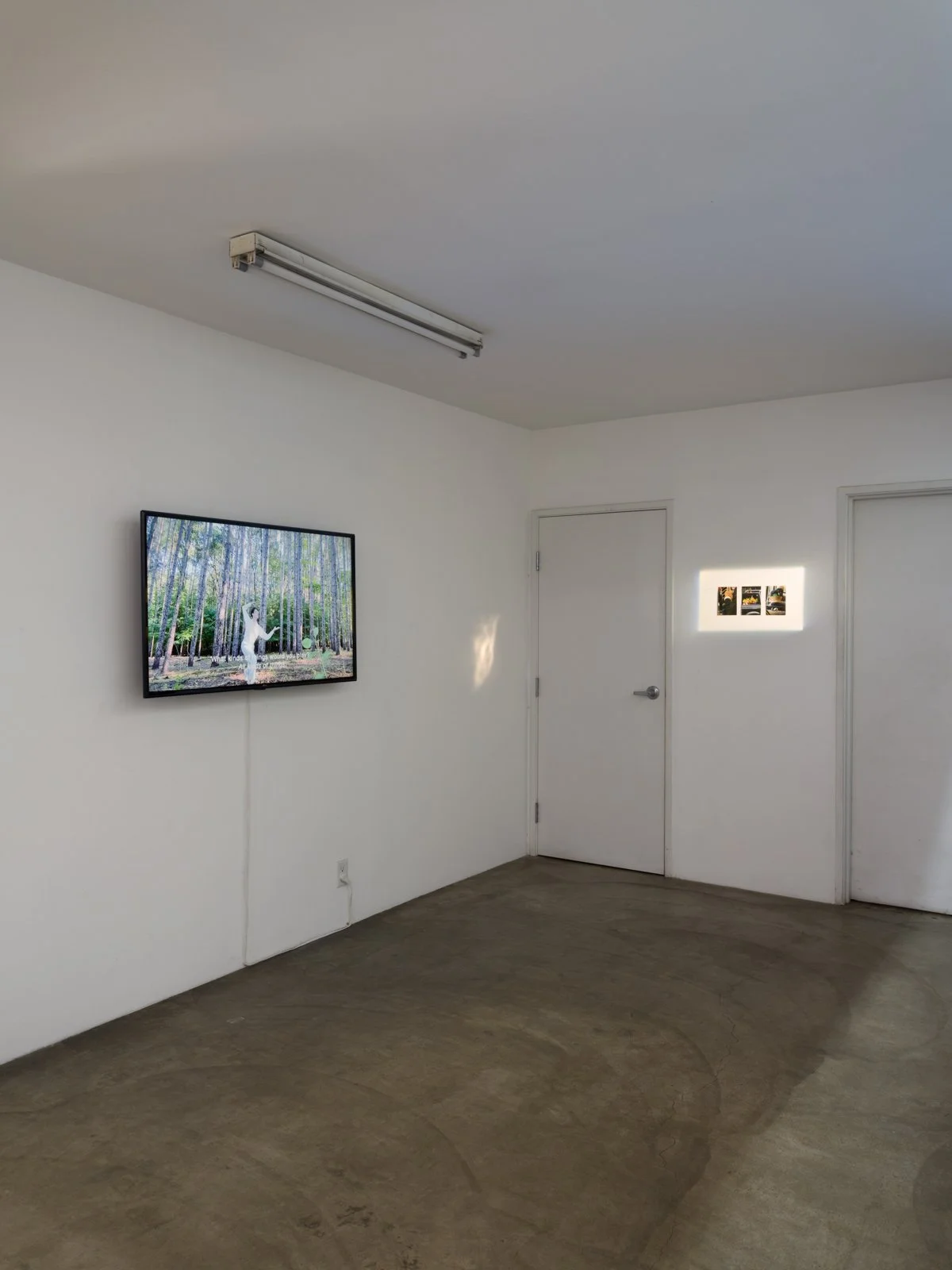   Knees, Schools, Urges  Installation View The Box, 2022  Photo: Fredrik Nilsen 