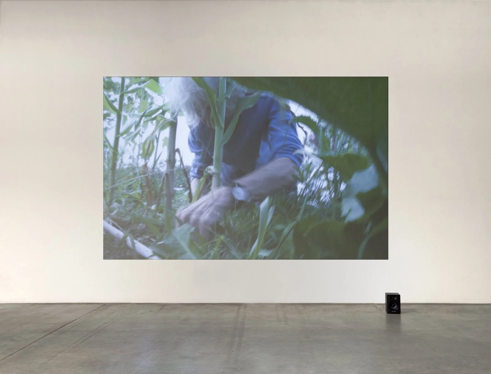  Simone Forti   Weeding: Simone's Garden , 2019  Photo: Fredrik Nilsen 