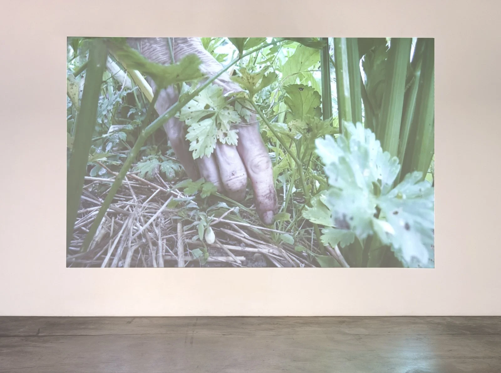  Simone Forti   Weeding: Steve and Lisa's Garden 1 , 2019  Photo: Fredrik Nilsen 