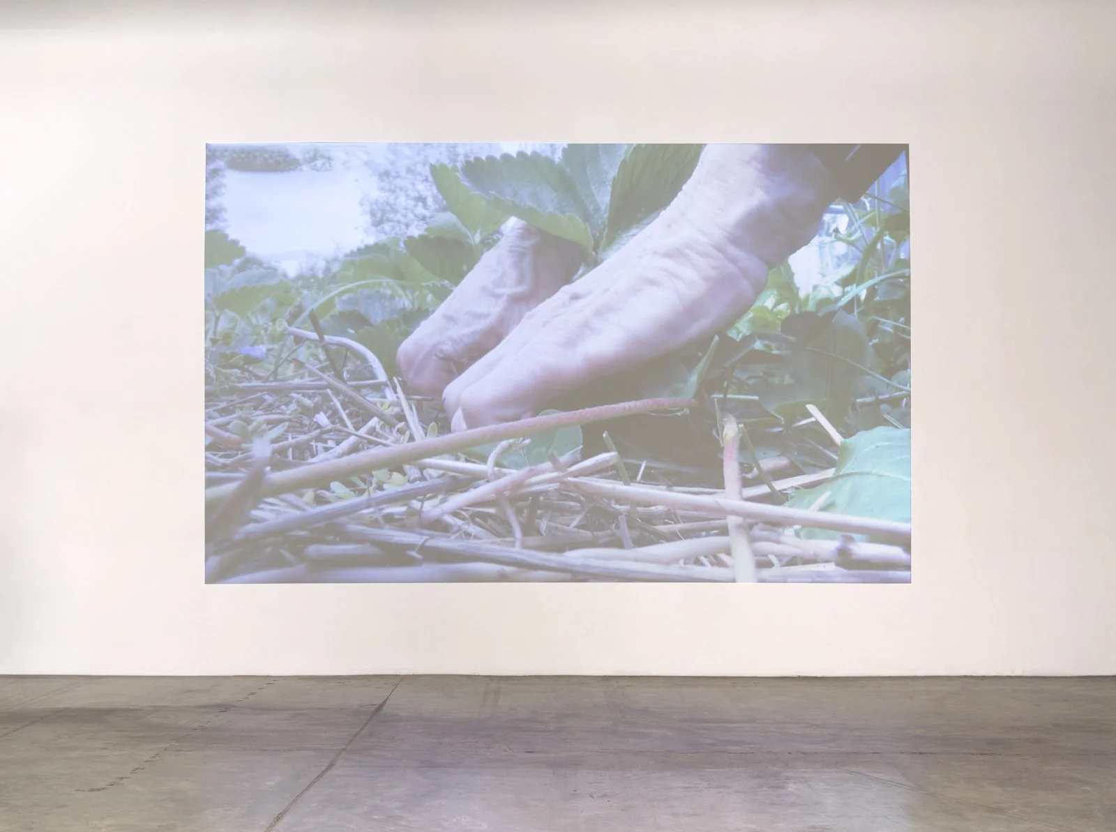  Simone Forti   Weeding: Steve and Lisa's Garden 2 , 2019  Photo: Fredrik Nilsen 