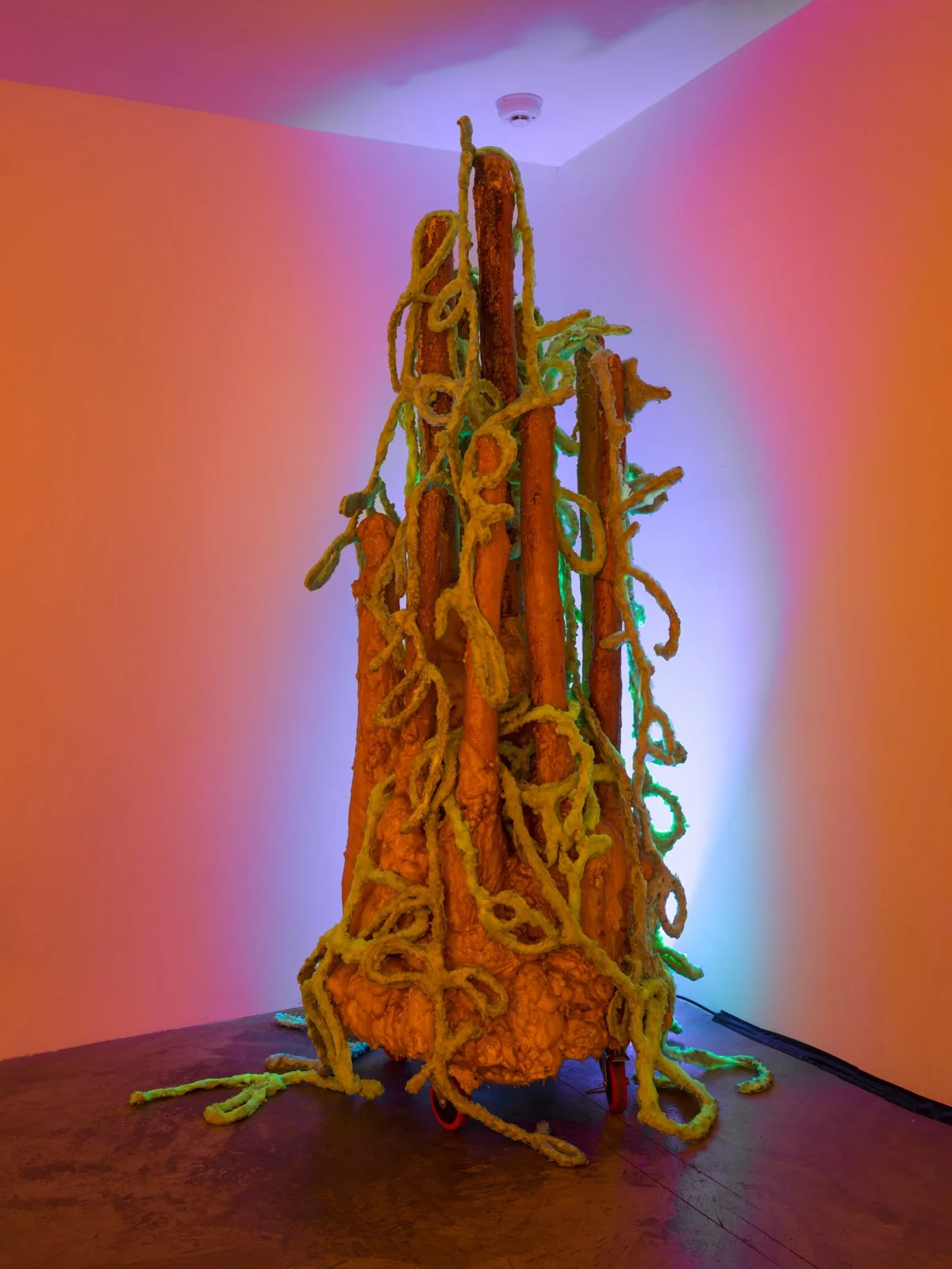  Corazón del Sol   Harlequin Scrawl , 2018  Photo: Fredrik Nilsen 