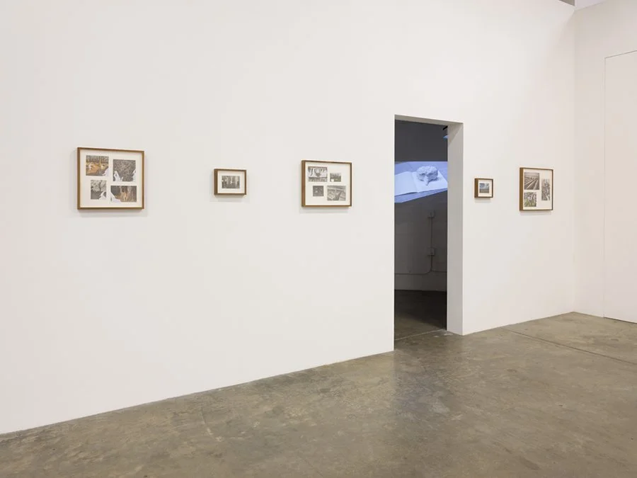   Scene  Installation View The Box, 2021  Photo: Fredrik Nilsen 