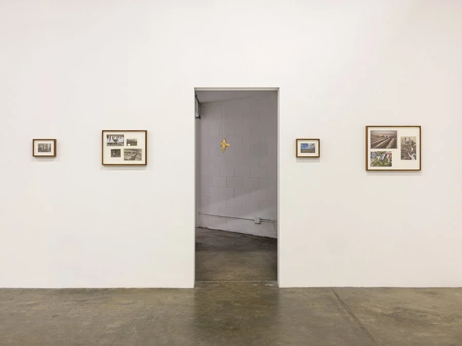   Scene  Installation View The Box, 2021  Photo: Fredrik Nilsen 