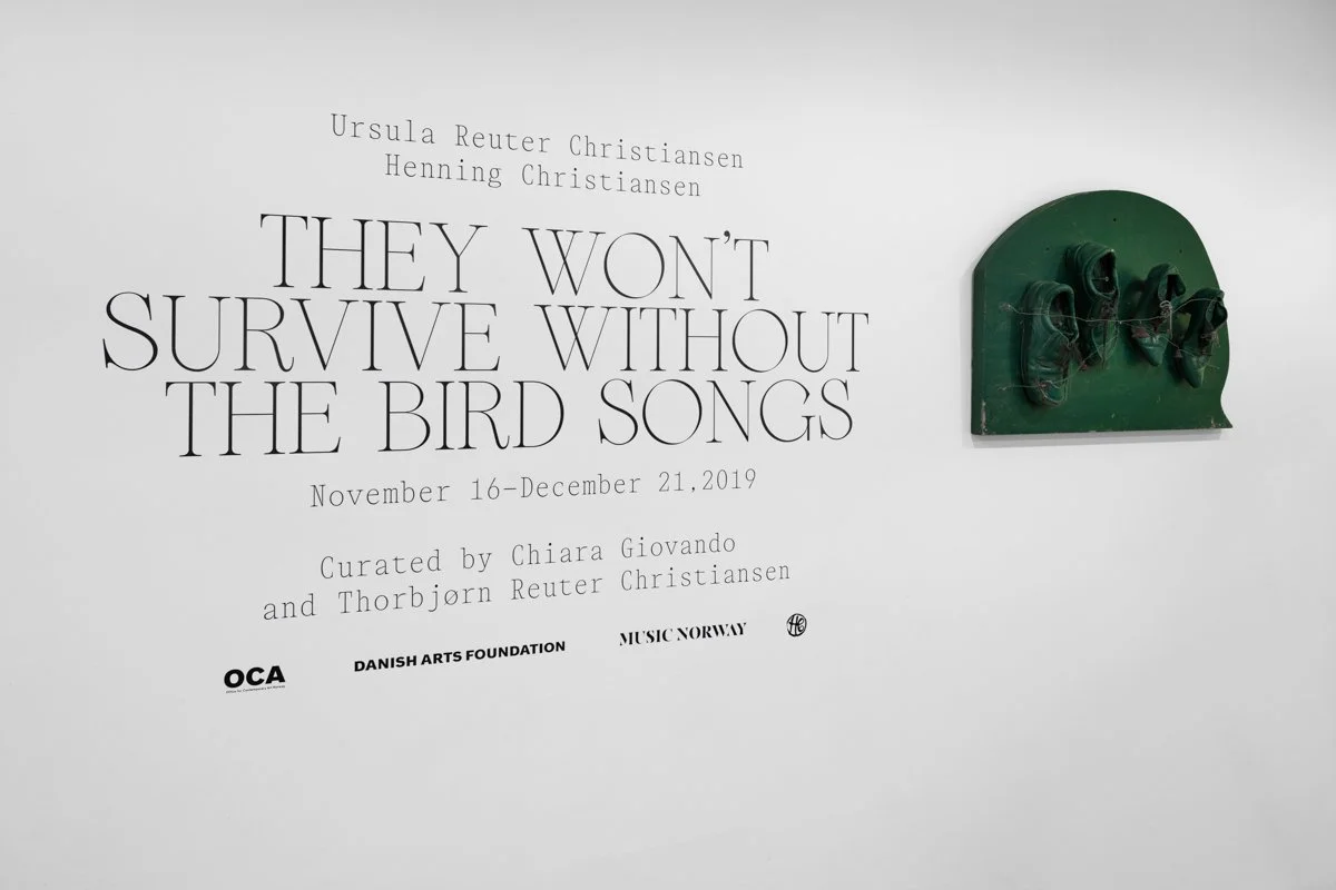   THEY WON'T SURVIVE WITHOUT THE BIRD SONGS  Installation View The Box, 2019  Photo: Fredrik Nilsen 