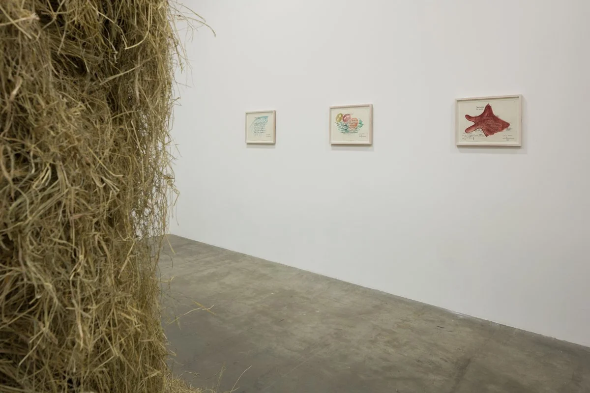   THEY WON'T SURVIVE WITHOUT THE BIRD SONGS  Installation View The Box, 2019  Photo: Fredrik Nilsen 