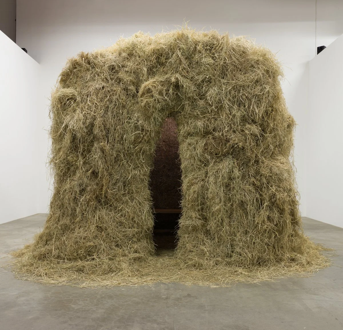  Henning Christiansen   Scharfe Statt Geigen (Sheep Instead of Violins) , 1988  Photo: Fredrik Nilsen 