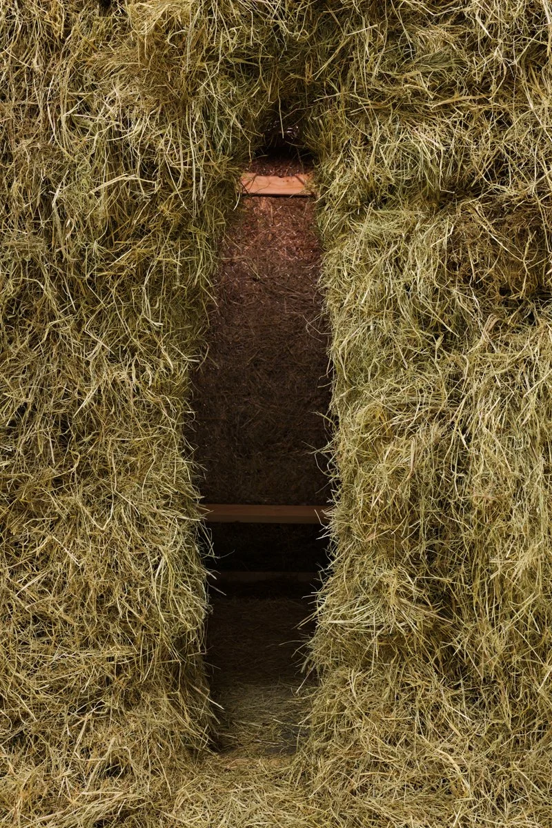  Henning Christiansen   Scharfe Statt Geigen (Sheep Instead of Violins) , 1988 Detail  Photo: Fredrik Nilsen 