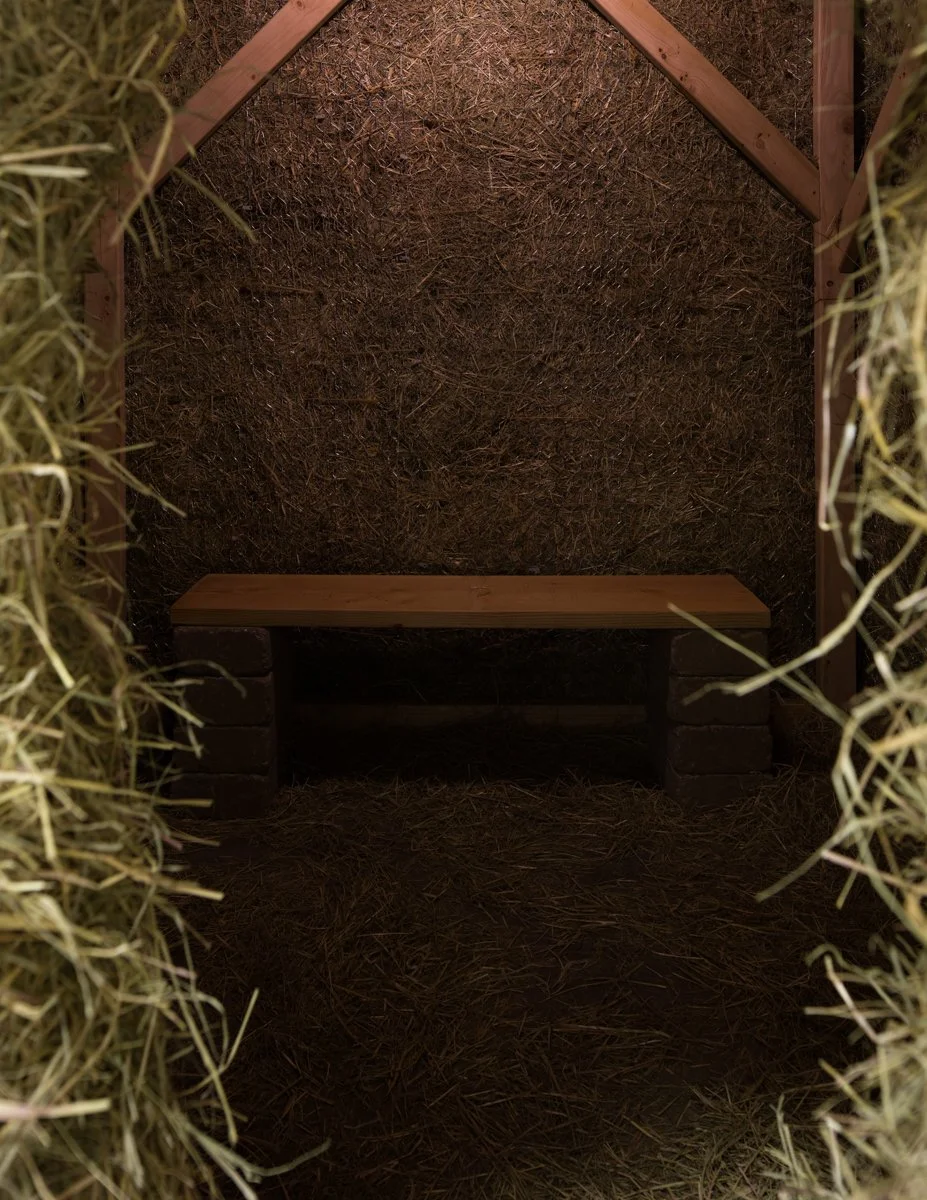  Henning Christiansen   Scharfe Statt Geigen (Sheep Instead of Violins) , 1988 Detail  Photo: Fredrik Nilsen 