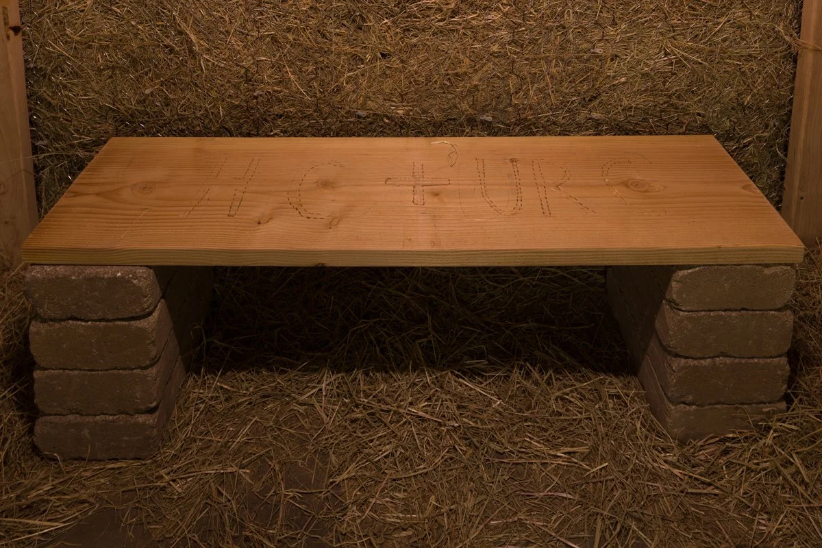  Henning Christiansen   Scharfe Statt Geigen (Sheep Instead of Violins) , 1988 Detail  Photo: Fredrik Nilsen 