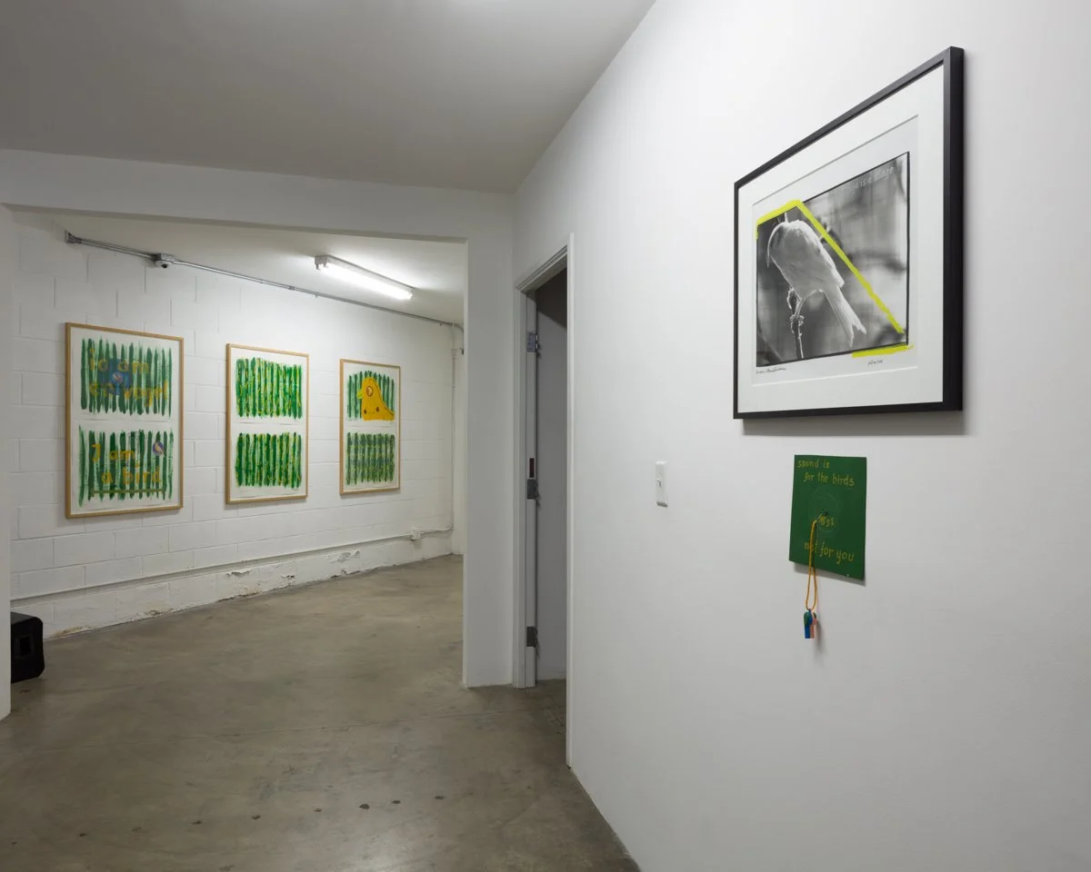  THEY WON'T SURVIVE WITHOUT THE BIRD SONGS  Installation View The Box, 2019  Photo: Fredrik Nilsen 