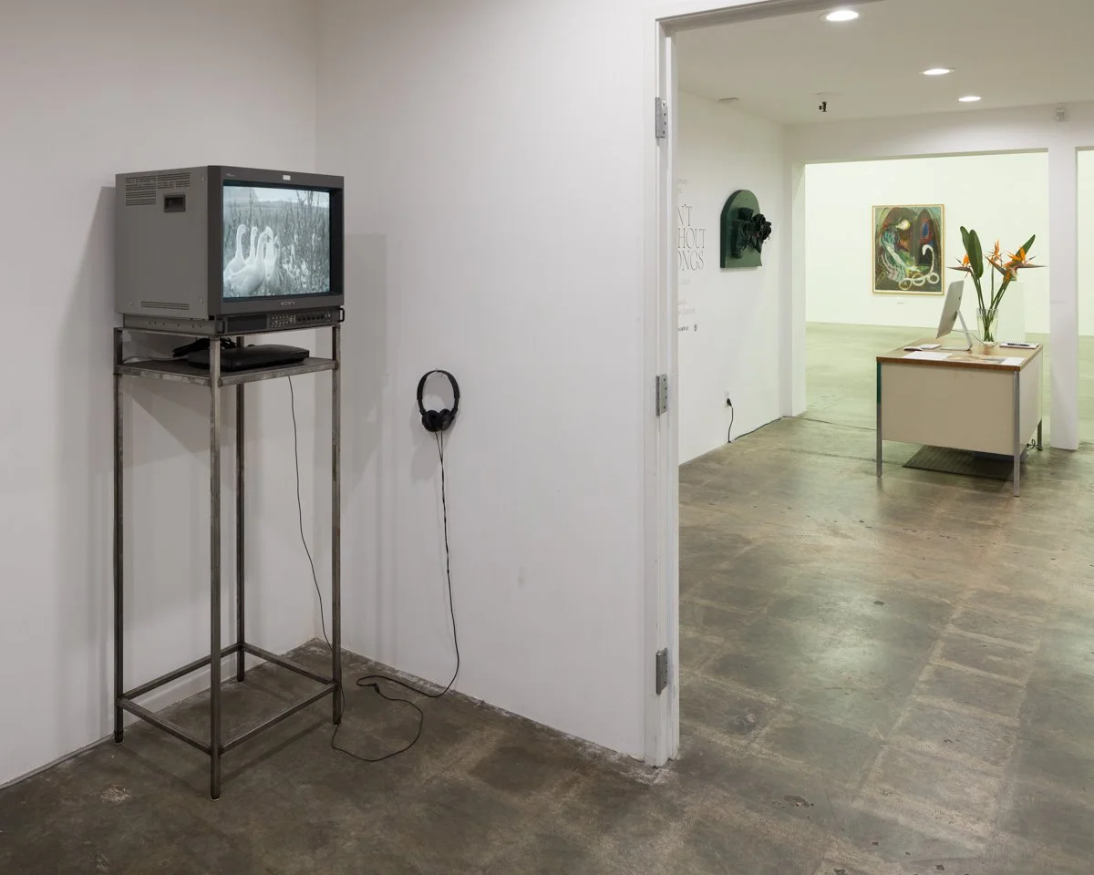   THEY WON'T SURVIVE WITHOUT THE BIRD SONGS  Installation View The Box, 2019  Photo: Fredrik Nilsen 