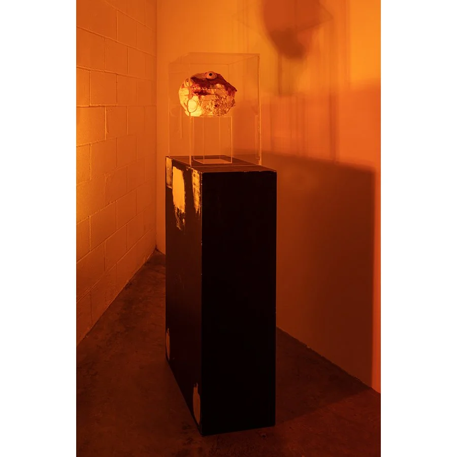   Past Perfect Object , 2019  Photo: Fredrik Nilsen 