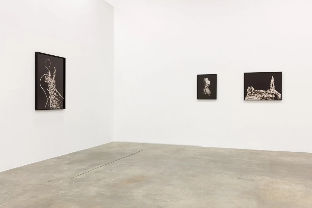   Head of a Woman  Installation View The Box, 2018  Photo: Fredrik Nilsen 