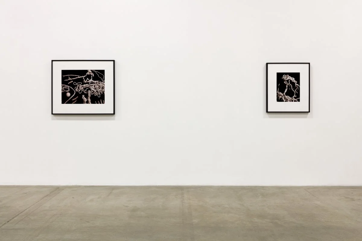   Head of a Woman  Installation View The Box, 2018  Photo: Fredrik Nilsen 