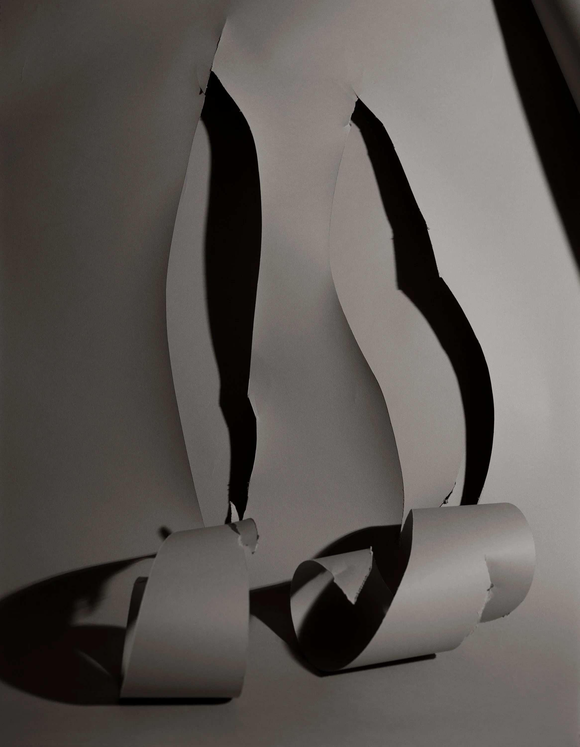  Sarah Conaway  CUTS , 2018 