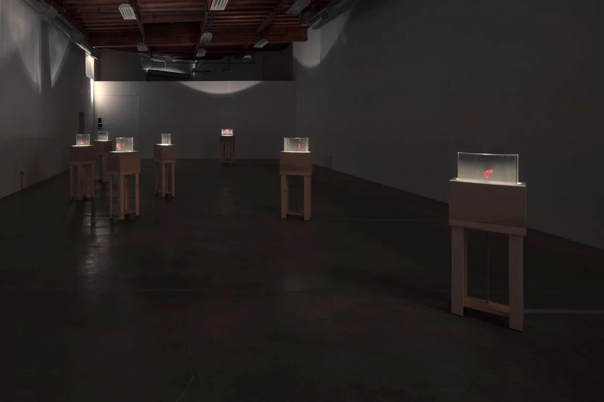   Time Smear  Installation View The Box, 2018  Photo: Fredrik Nilsen 