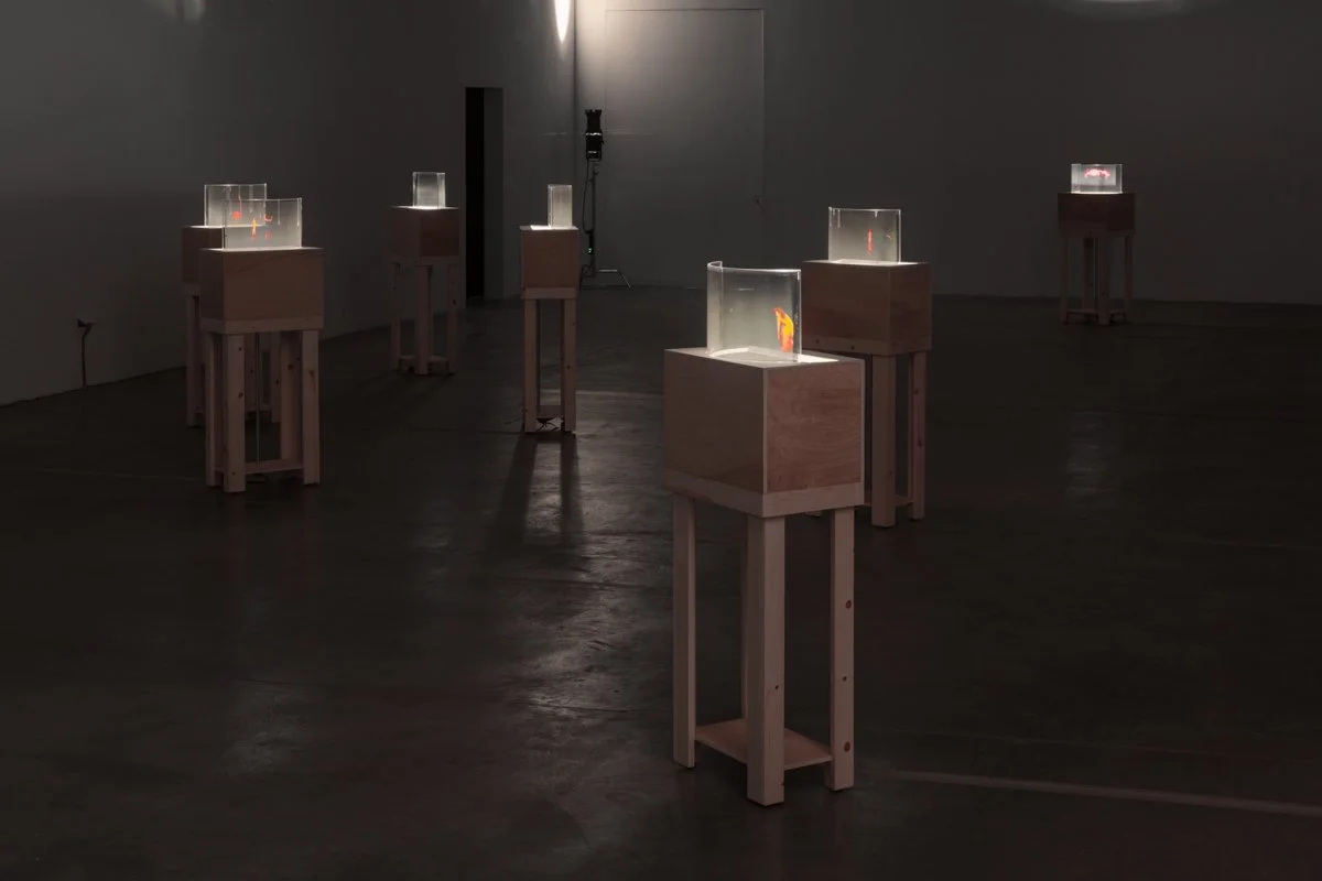  Time Smear  Installation View The Box, 2018  Photo: Fredrik Nilsen 