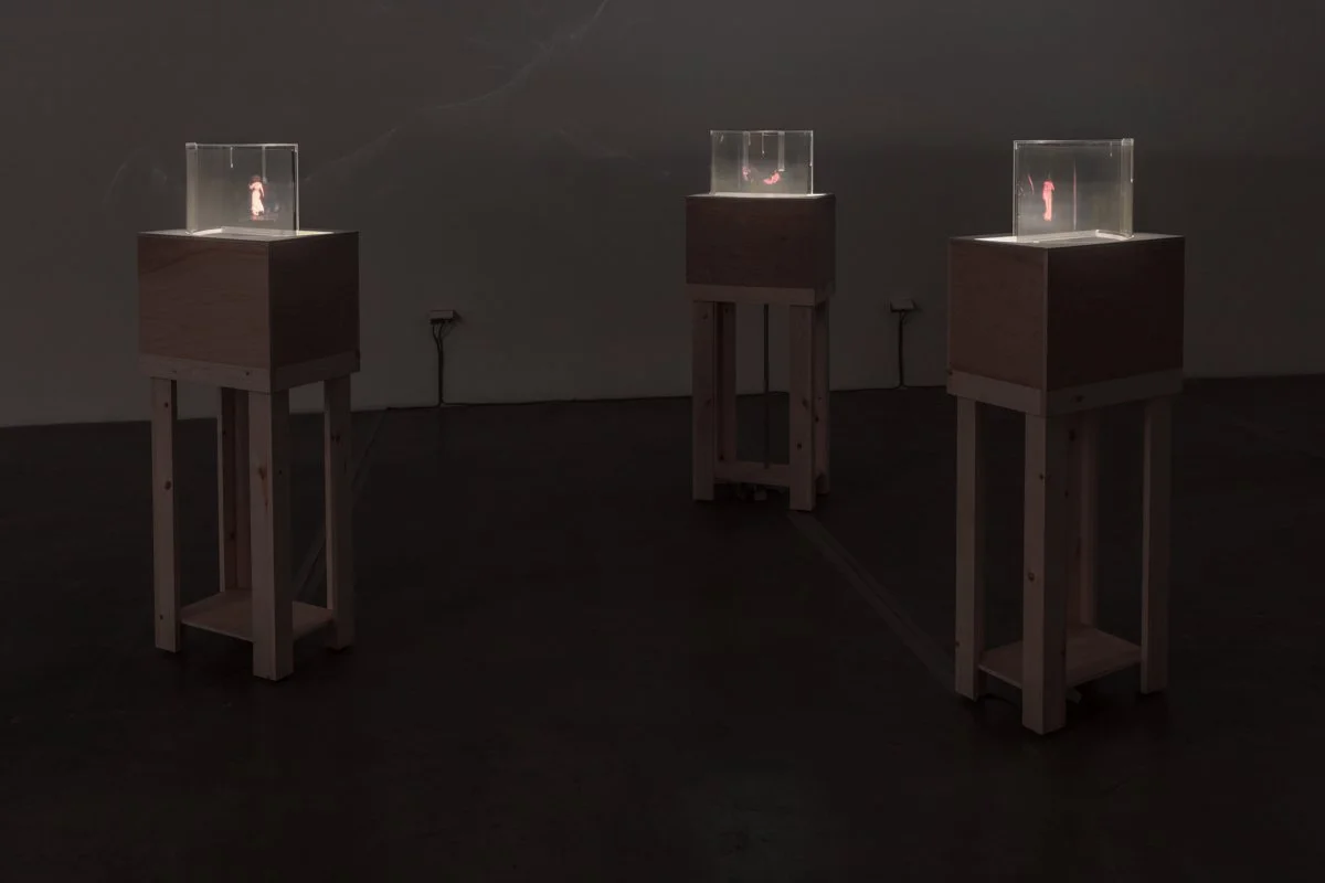   Time Smear  Installation View The Box, 2018  Photo: Fredrik Nilsen 