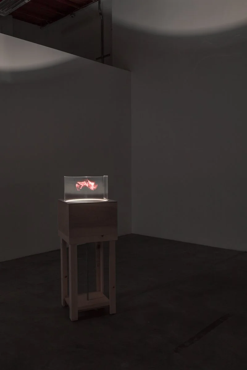   Time Smear  Installation View The Box, 2018  Photo: Fredrik Nilsen 