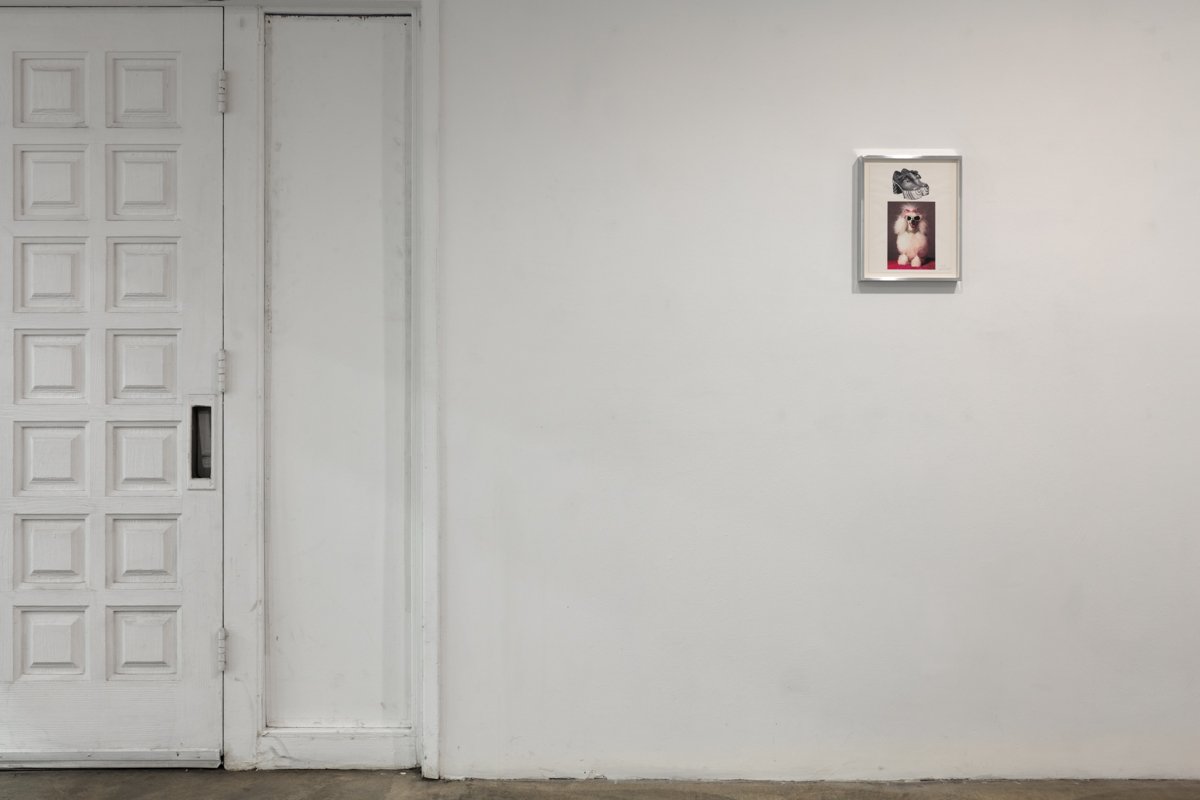  Thinky Art &amp; Fantasy, 1987 - 2017  Installation View The Box, 2017  Photo: Fredrik Nilsen 