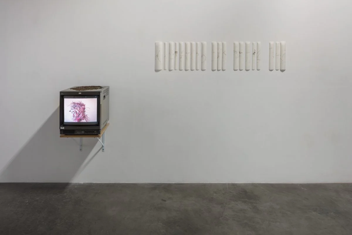   Dysfunctional Formulas of Love  Installation View The Box, 2017  Photo: Fredrik Nilsen 