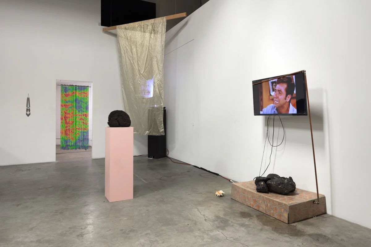   Dysfunctional Formulas of Love  Installation View The Box, 2017  Photo: Fredrik Nilsen 