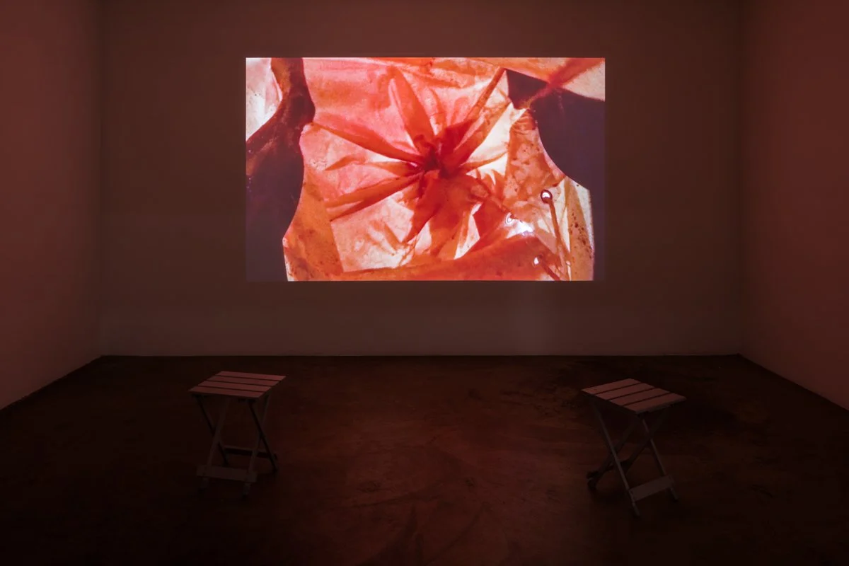   Peaking  Installation View The Box, 2016  Photo: Fredrik Nilsen 