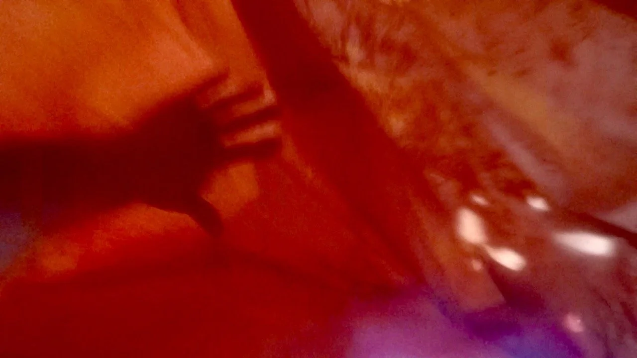 Hiro.Peaking - 5.jpeg