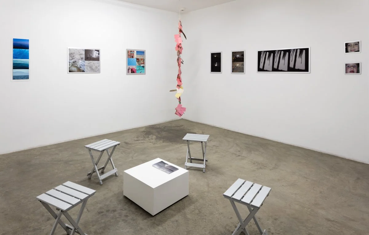  Words, Sentences &amp; Signs  Installation View The Box, 2016  Photo: Fredrik Nilsen 