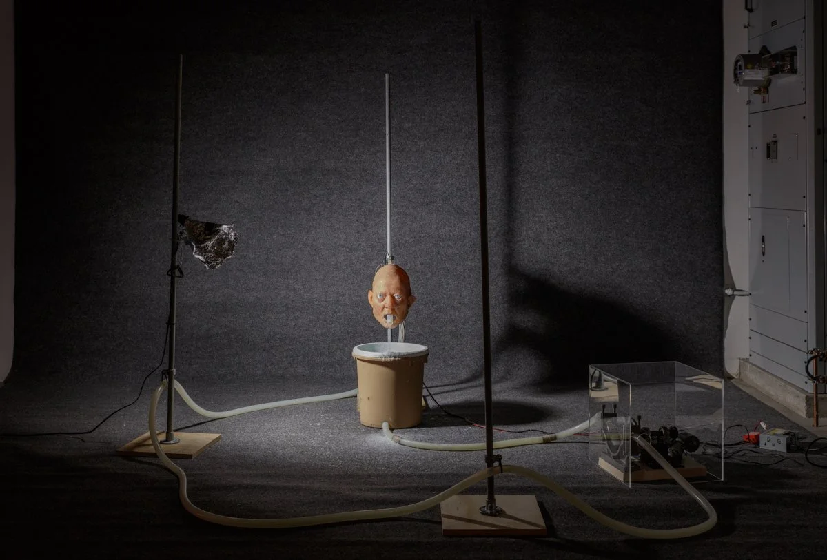  Nathaniel Mellors  The Object (Ourhouse) , 2010  Photo: Fredrik Nilsen 