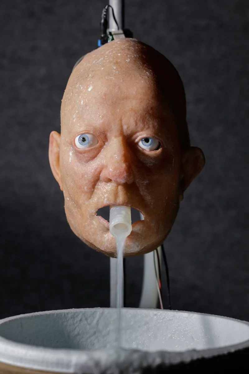  Nathaniel Mellors  The Object (Ourhouse) , 2010 Detail  Photo: Fredrik Nilsen 