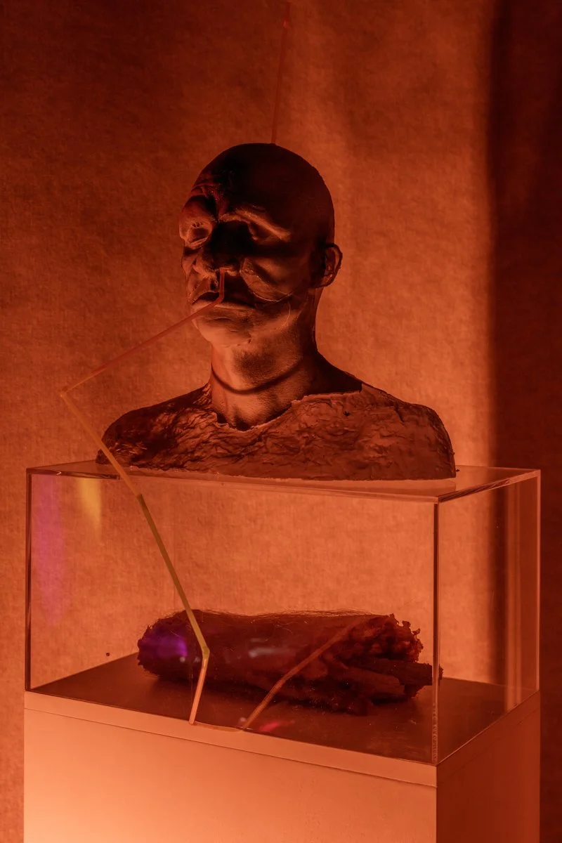  Nathaniel Mellors  Reliquary Reliquary (Degenerate Cycle)   Photo: Fredrik Nilsen 