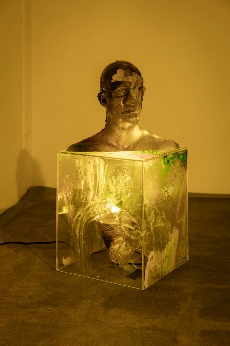  Nathaniel Mellors  Bust Inside Out Dinosaur   Photo: Fredrik Nilsen 