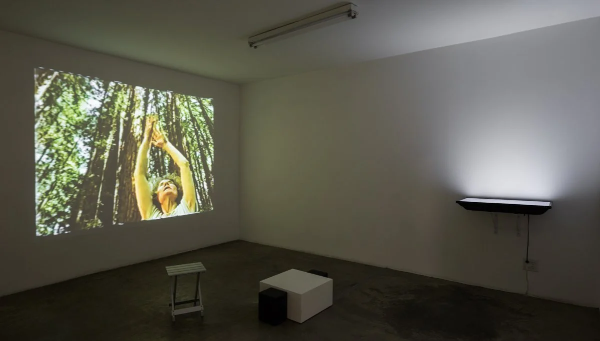   On An Iron Post  Installation View The Box, 2015  Photo: Fredrik Nilsen 
