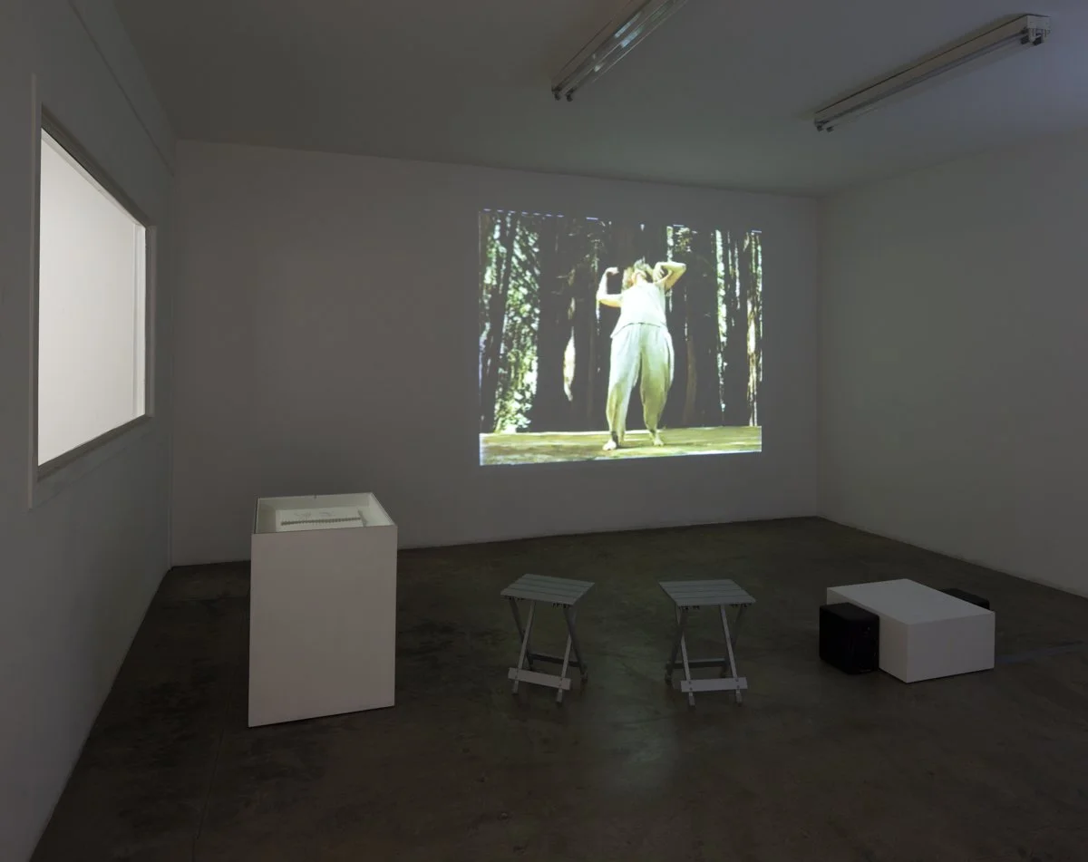   On An Iron Post  Installation View The Box, 2015  Photo: Fredrik Nilsen 