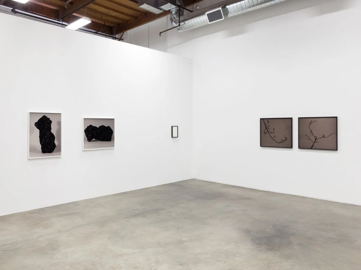   Empty Vessel  Installation View The Box, 2015  Photo: Fredrik Nilsen 