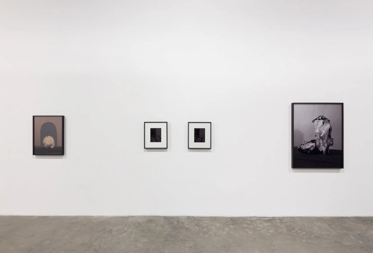   Empty Vessel  Installation View The Box, 2015  Photo: Fredrik Nilsen 