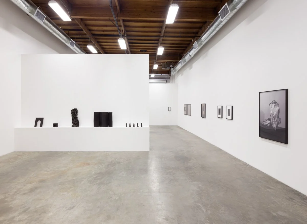   Empty Vessel  Installation View The Box, 2015  Photo: Fredrik Nilsen 